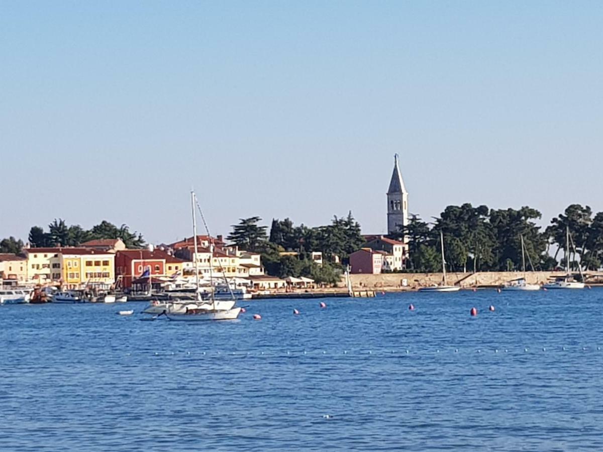 App Mirjana Apartment Novigrad  Luaran gambar